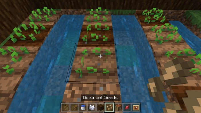 How to plant seeds minecraft