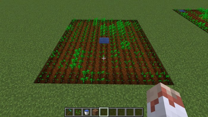 How do you plant seeds minecraft