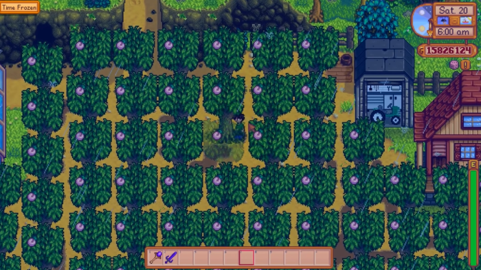 Where to plant fruit trees stardew