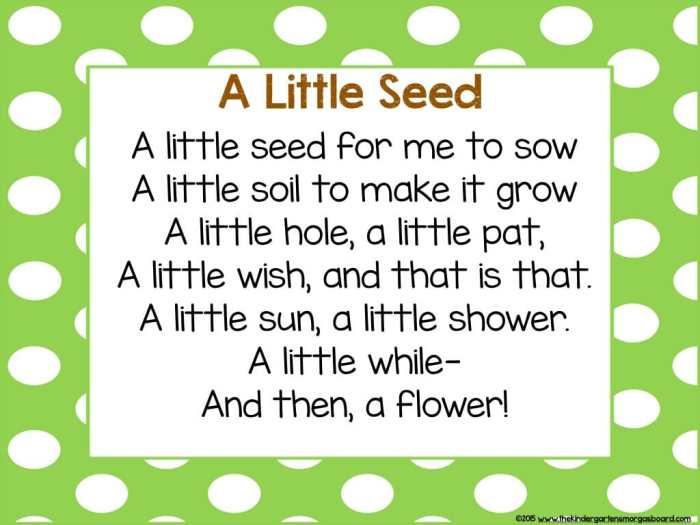 Plant a seed luke combs lyrics