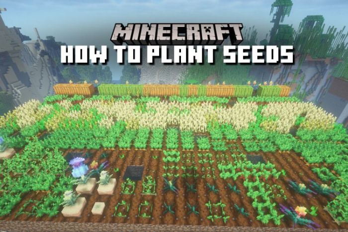 How to plant seeds minecraft