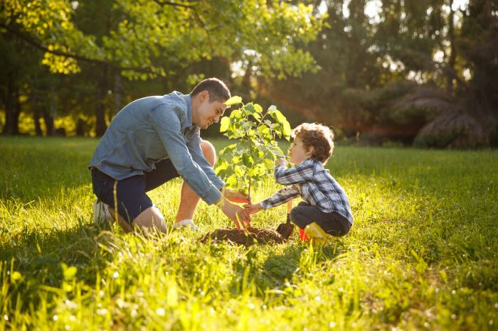 How late can you plant a tree