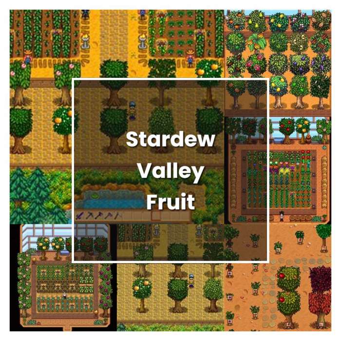 Fruit stardew can pickle